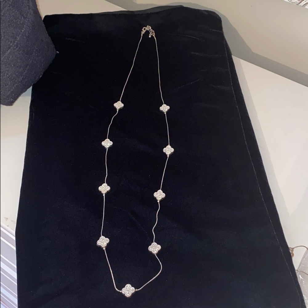 Gorgeous Long Necklace